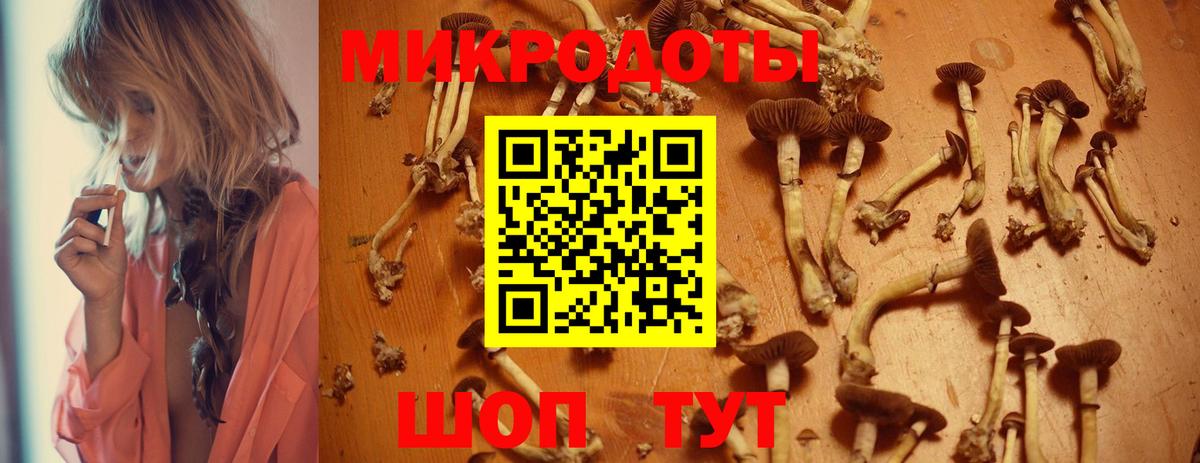 Урус-Мартан  Псилоцибиновые грибы Psilocybe  Вход с VPN  Псилоцибиновые грибы мицелий 
